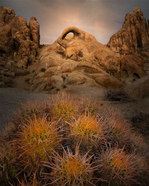 The Eastern Sierra Collection: Photography by Jennifer Blake Fraser