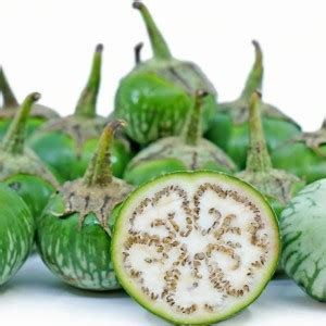 UGRA Thai Petch Siam Eggplant Seed Price in India - Buy UGRA Thai Petch ...