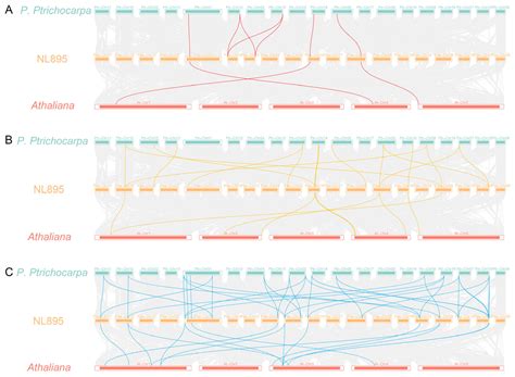 Genome-Wide Identification and Evolutionary Analysis of m6A-Related ...