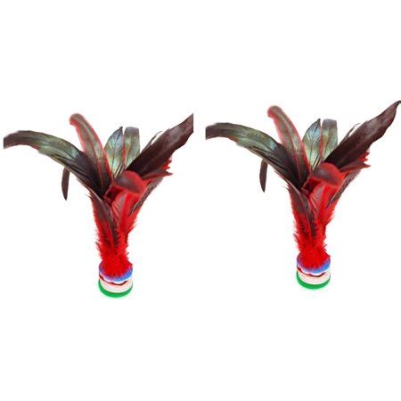 Chinese ShuttleCock 的图像结果