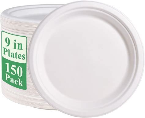 Amazon.com: TaidMiao Paper Plates 9 Inches, 100 Pack Disposable Plates ...
