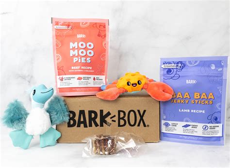 Barkbox Review + Coupon - April 2021 - Hello Subscription