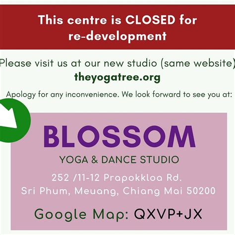 THE YOGA TREE AT ARAK ROAD. Guide (2026) All You Need to Know BEFORE ...