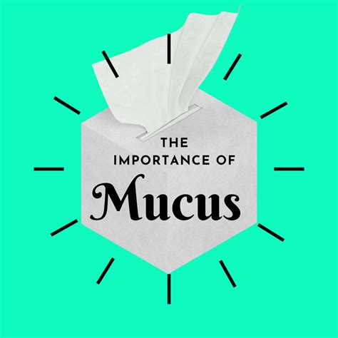 How To Say Mucus In Mexican Spanish at Jerry Wuest blog