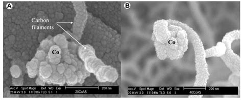Decarbonizing Natural Gas: A Review of Catalytic Decomposition and ...