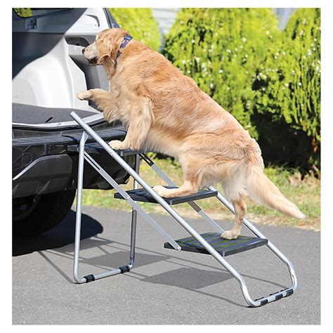 Best Folding Pet Steps at Larry Childs blog
