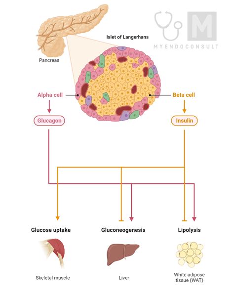 Cell Communication Concept Map 的图像结果