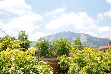 Announcing the Spring 2023 Dean's List | College of Communication ...