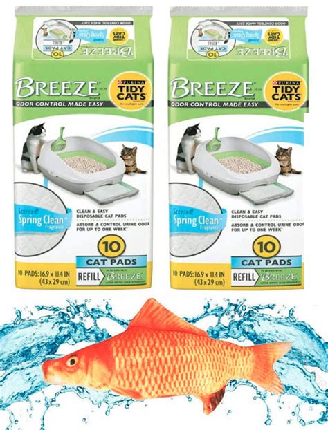 Buy KITTI Variety Pack Bundle Including a 7.5" Triple Strength Catnip ...