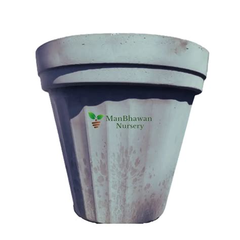 Buy Plants Online, Online Garden - ManBhawan Nursery