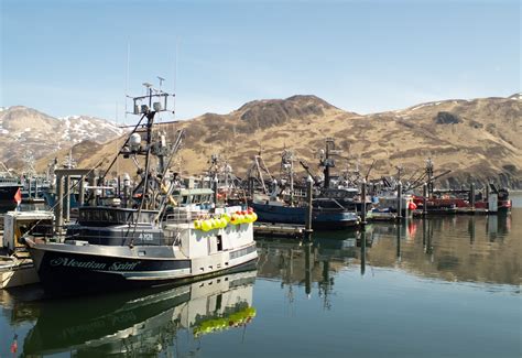 Dutch Harbor Alaska News at Dawn Cook blog