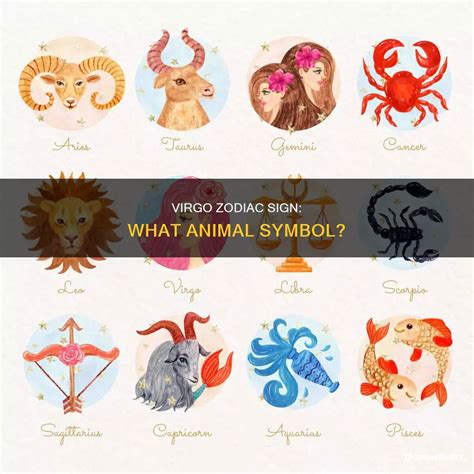 Virgo Zodiac Sign: What Animal Symbol? | ShunSpirit