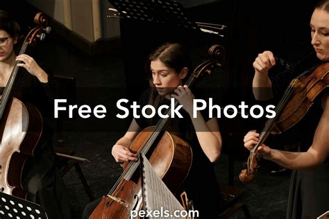 Orchestra String Instruments 的图像结果