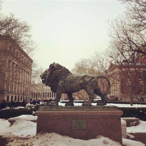 Pin by Hena Yadav on MyLife | University inspiration, Columbia lion ...