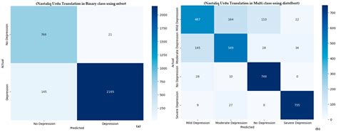 RUDA-2025: Depression Severity Detection Using Pre-Trained Transformers ...