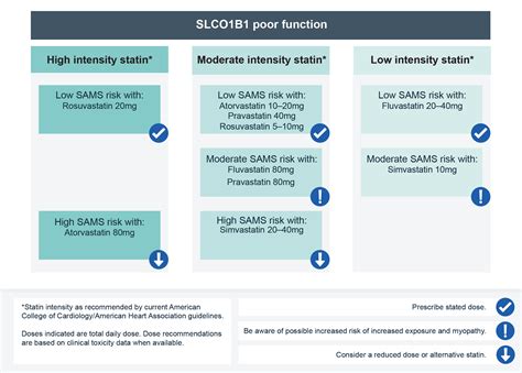 Statins — Knowledge Hub