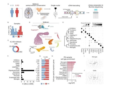 Image result for Transcriptomics technologies Single-cell Transcriptomics