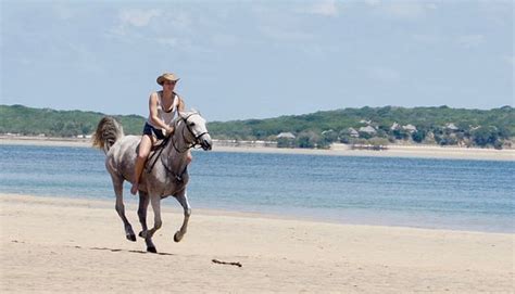 Mozambique Island Photos - Featured Images of Mozambique Island ...