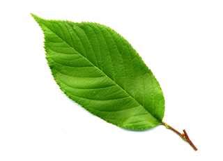 Image result for How to Save a Notepad HTML Code