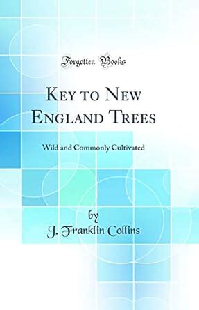 Buy Key to New England Trees: Wild and Commonly Cultivated (Classic ...