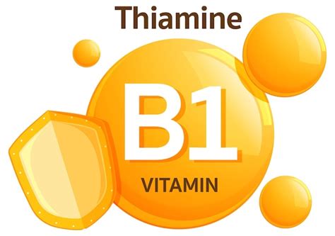 Página 2 | De vitamina teixo amarelo svg Imagens – Download Grátis no ...