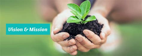 Welcome To Our P K International English school