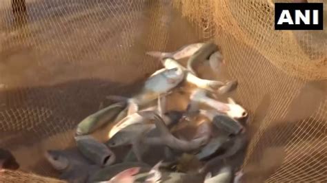 Fisheries resumes in Sukma after being burried by Naxalism
