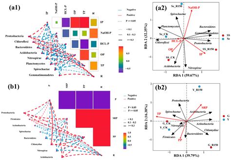 Study on Phosphorus Variability Characteristics and Response Mechanism ...