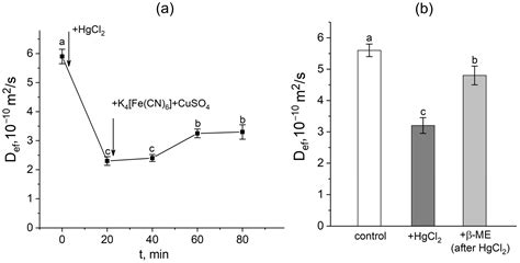 The Dynamics of Cell-to-Cell Water Transport and the Involvement of ...