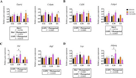 Grape-Seed Proanthocyanidins Modulate Adipose Tissue Adaptations to ...