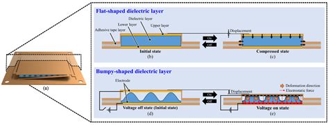 Flexible Vibrotactile Actuator Based on Dielectric Elastomer for Smart ...