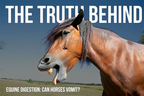 Can Horses Vomit? Unraveling Equine Digestive Mysteries – Dream Horse