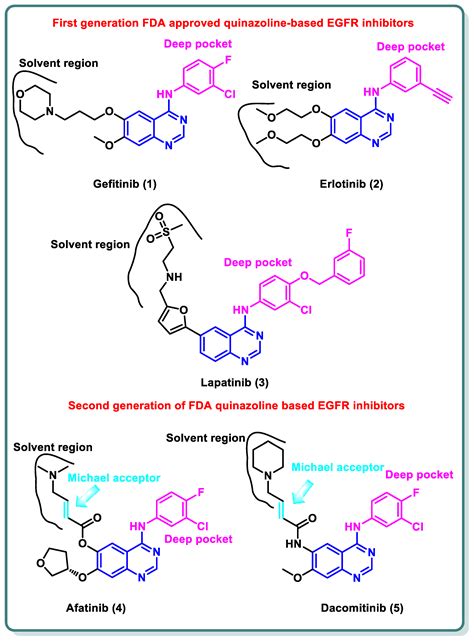 Recent Advances in Structural Optimization of Quinazoline-Based Protein ...