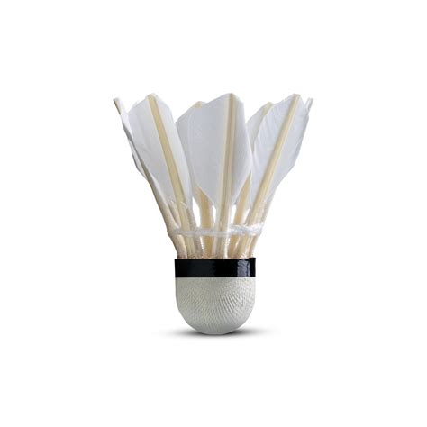 Hundred S40 Feather Shuttlecock – Hundred India