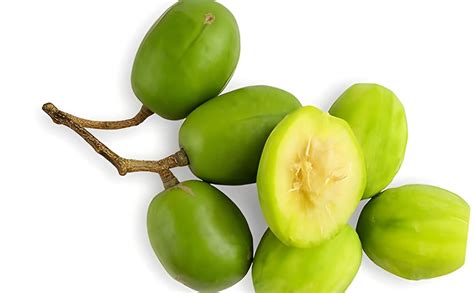 Green View® All Time Hog Plum Plant – Live Hybrid Amra/Ambade Plant ...