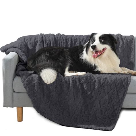 Dog Proof Sofa Throws | Baci Living Room
