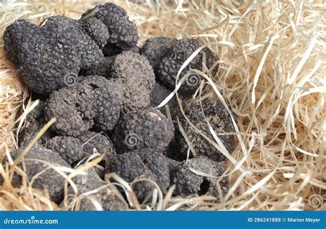 A Pile Of Real Pyramid Shaped Stones, Soft Focus Stock Photography ...