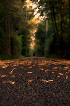 Background Images by Free Images Blurred Background Colors Daylight Background Images