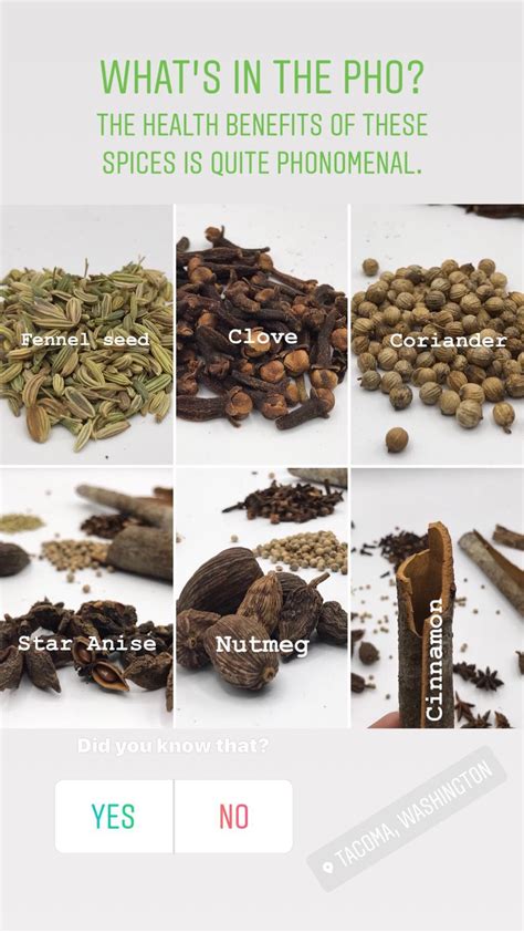 Pin by i5 Phở - The Noodle Soup House on Pho Health Benefits | Fennel ...