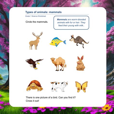 Dogs for 1st Graders Science 的图像结果