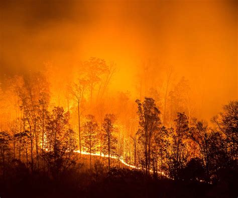 Wildfire Map Spotlight: Jennings Creek Wildfire, New Jersey and New York