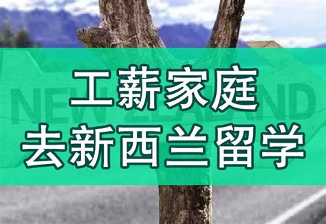 如何申请2024年新西兰留学的硕士和本科？（含申请要求、热门专业、学费等汇总）！ - 知乎