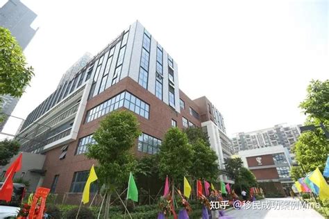 深圳蛇口外籍人员子女学校接收一民办学校，将开设中英双语班|界面新闻