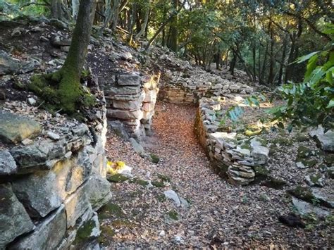 Gradina (Sight / Attraction) - Veliki Brijun