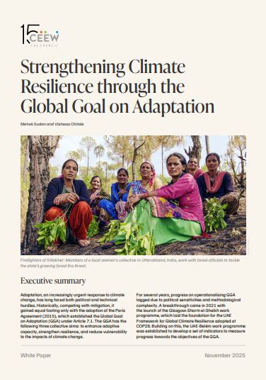 How Does the Paris Agreement Play Role in Climate Change Adaptation? | CEEW