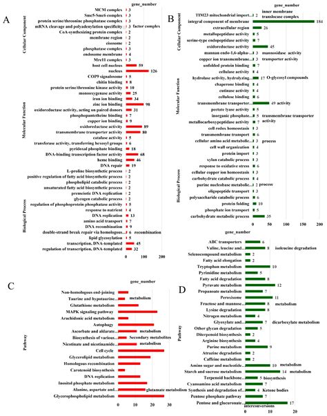 Dual RNA-Seq Reveals Molecular Interactions Between Alternaria ...