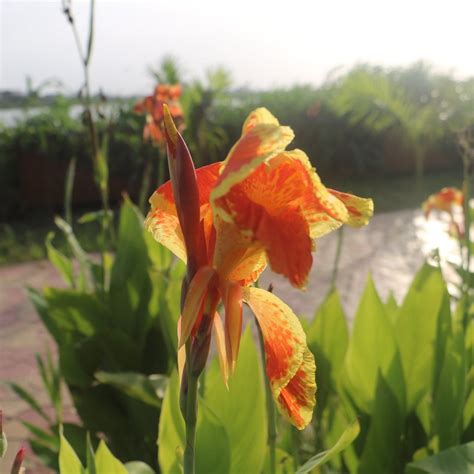 MATARIYA TALAV (2026) All You Need to Know BEFORE You Go (with Photos ...