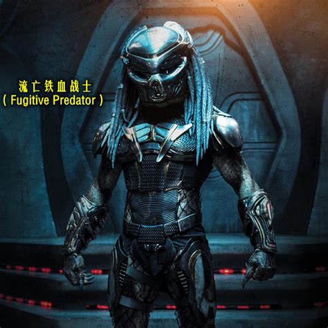 铁血英雄最新素材