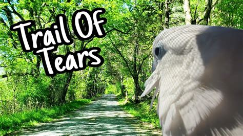 Unlock the Ancient Native American Wisdom: Banish Evil Eyes on YouTube