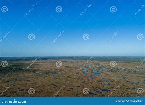 Swamp Aerial View 的图像结果